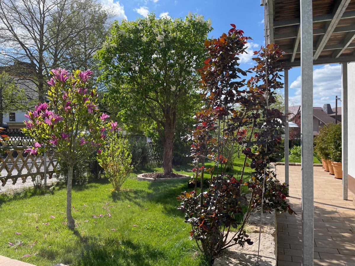 Florentine Apartment Bad Liebenstein