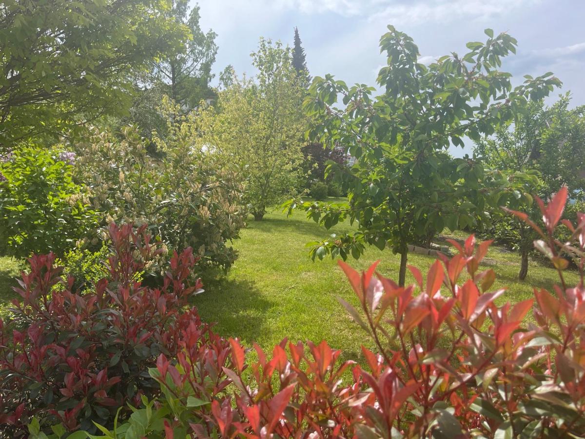 Apartment Florentine Bad Liebenstein